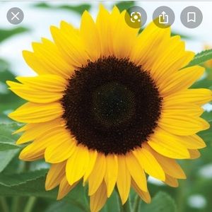 Meet your Posher, Keely